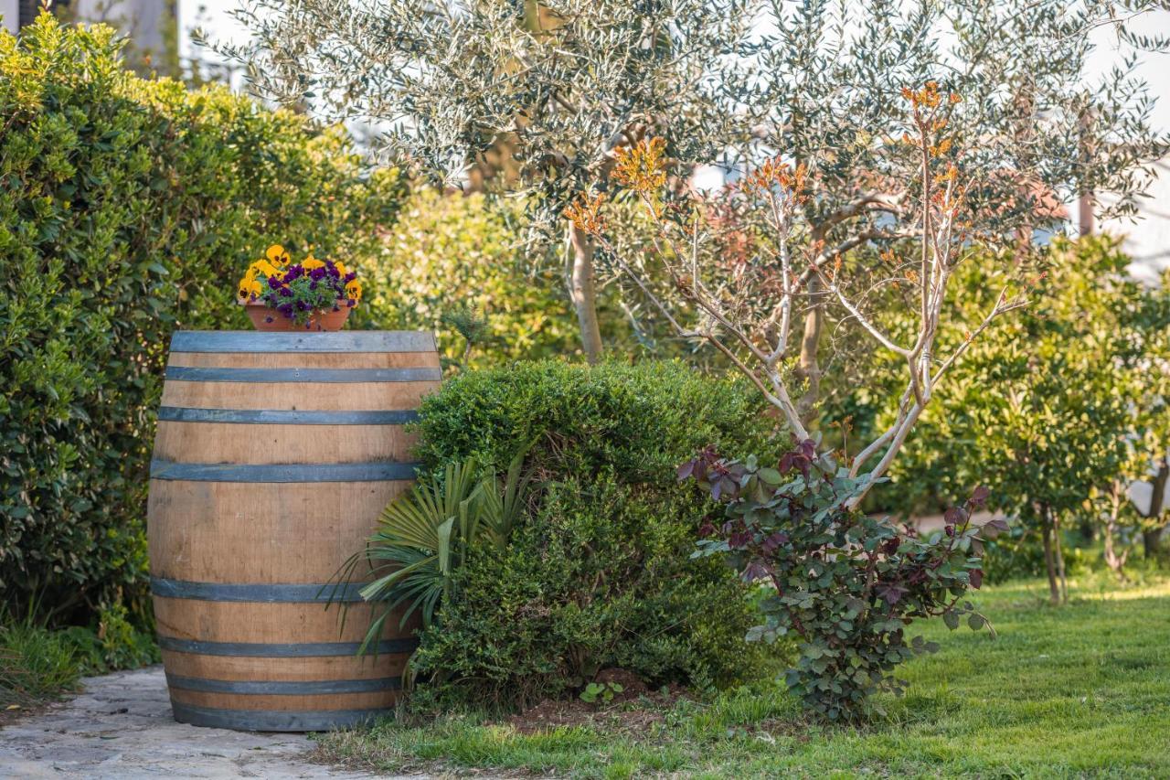 Casa vacanze Wine Garden *